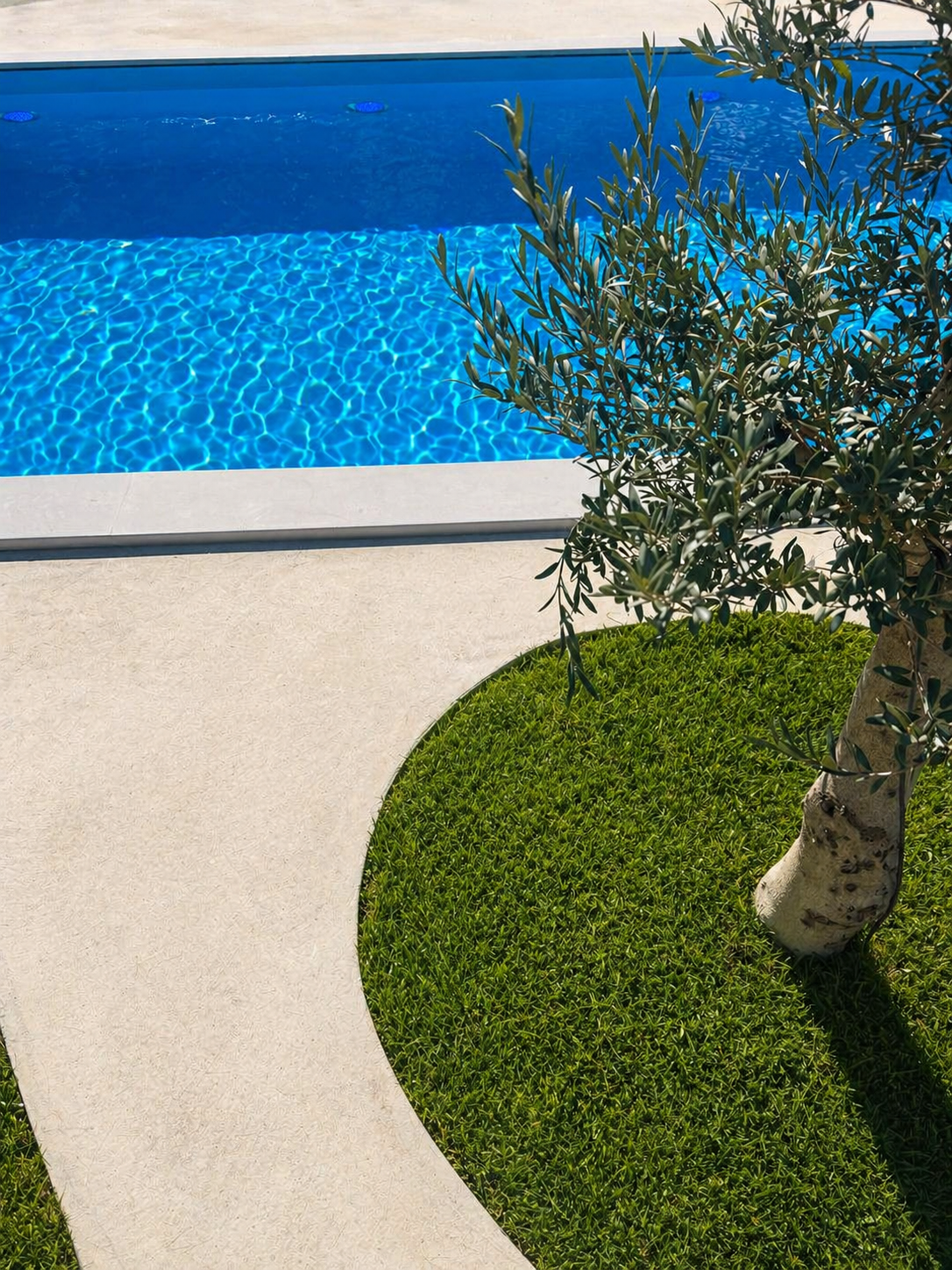 Detail of curved landscape edge with olive tree, grass, and pool water at Ferma VIP