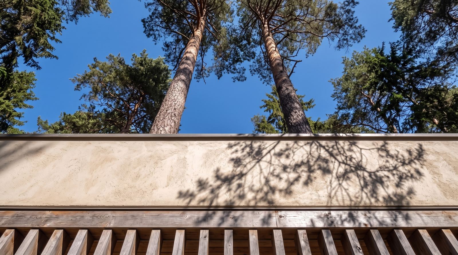 Low-angle detail of the chapel's concrete fascia with pine tree shadows cast on its surface, framed by vertical timber slats below and tall pine trees rising into a blue sky.